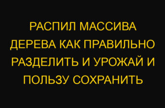 Распил массива дерева как правильно разделить и урожай и пользу сохранить