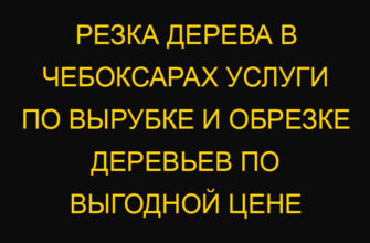 Резка дерева в Чебоксарах услуги по вырубке и обрезке деревьев по выгодной цене