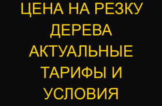 Цена на резку дерева актуальные тарифы и условия