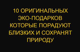 10 оригинальных эко-подарков которые порадуют близких и сохранят природу