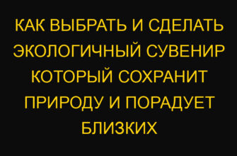 Как выбрать и сделать экологичный сувенир который сохранит природу и порадует близких Как выбрать и сделать экологичный сувенир который сохранит природу и порадует близких
